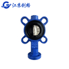 Center Lug Butterfly Valve