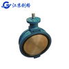 Eccentric wafer butterfly valve