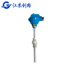 WZPK type temperature sensor