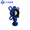 Center Lug Butterfly Valve